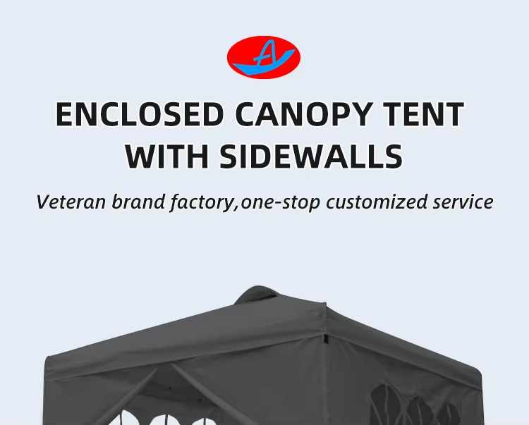 Outdoor Big Marquee 10×20 Toldos Carpa Waterproof Gazebo Tent 3X6 Folding Pop Up Awning Tentpicture